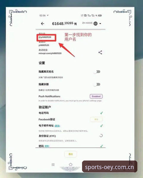 揭秘OETY官方认证入口安装教程：新手轻松上手的完整指南
